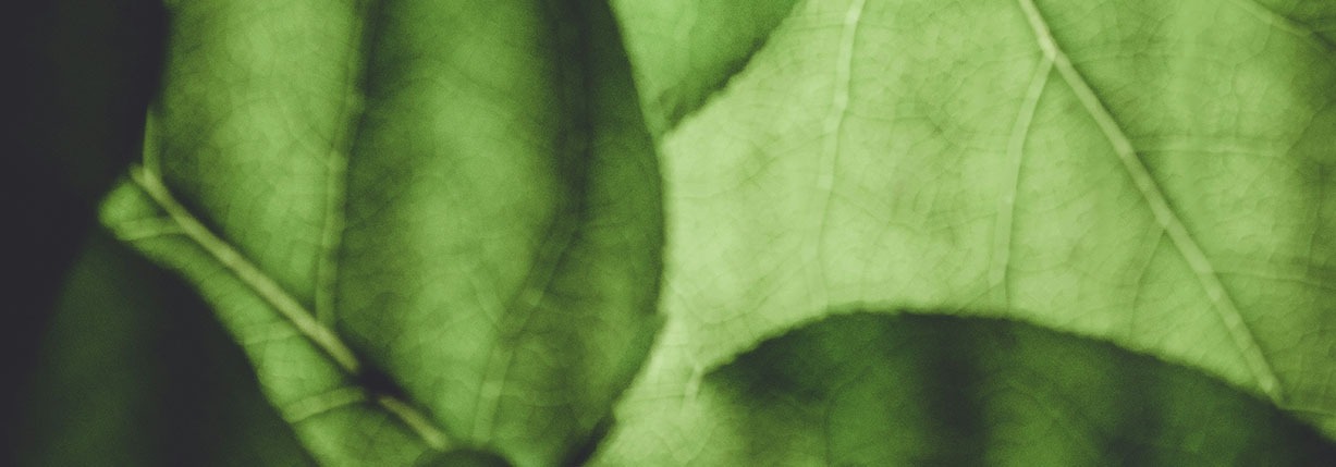 خلفية الشركة