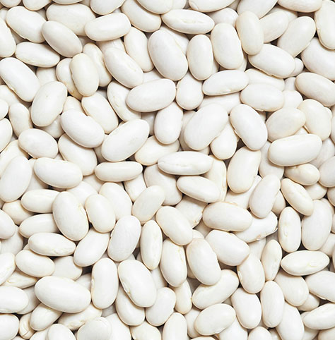 فصوليا بيضاء